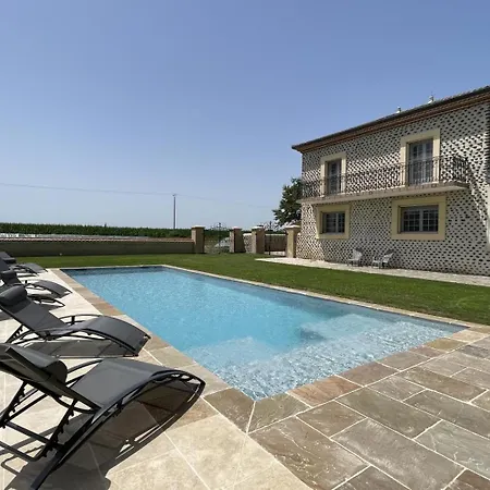 Myosotis Lasclaveries