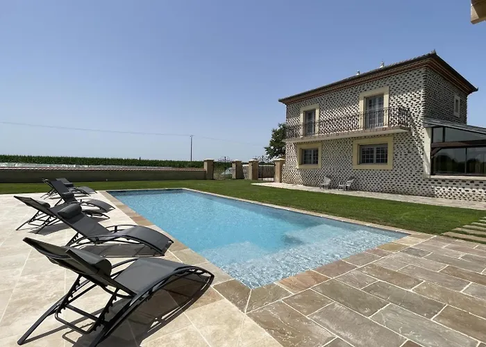 Myosotis Lasclaveries